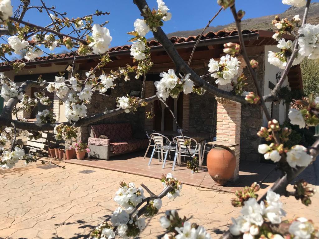 Casa Rural La Picotina Navaconcejo Exterior photo