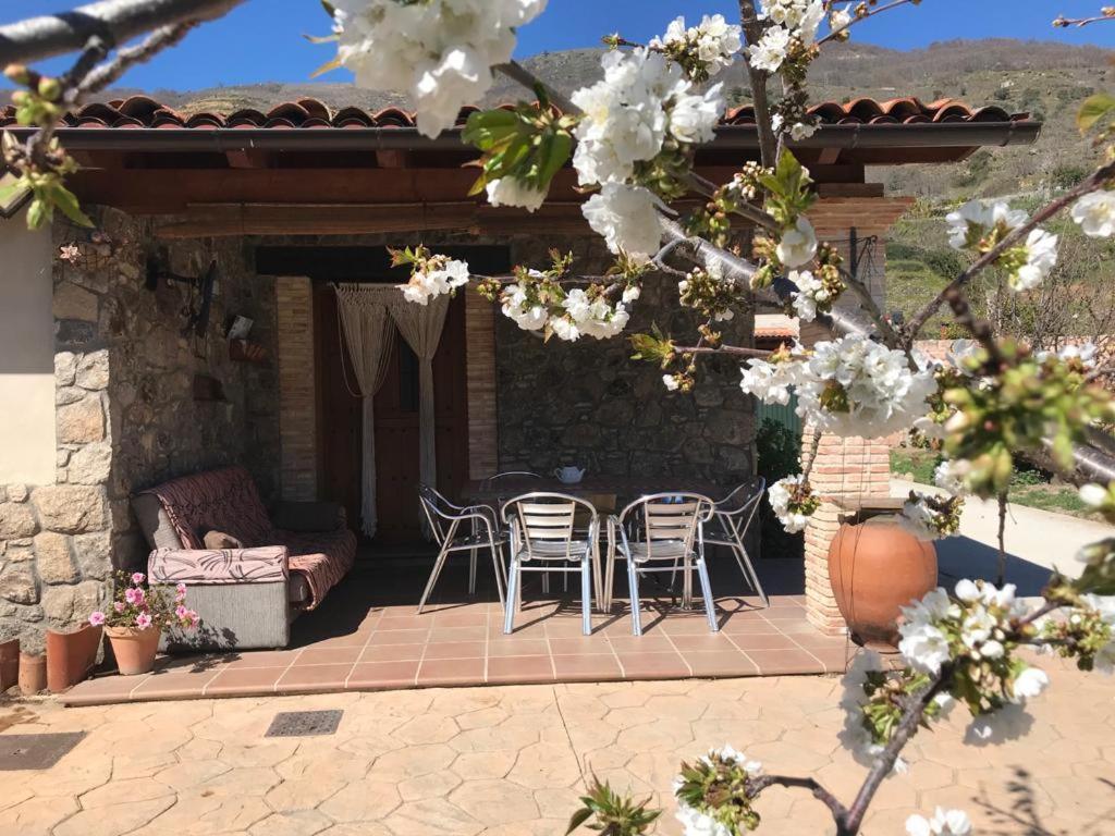 Casa Rural La Picotina Navaconcejo Exterior photo